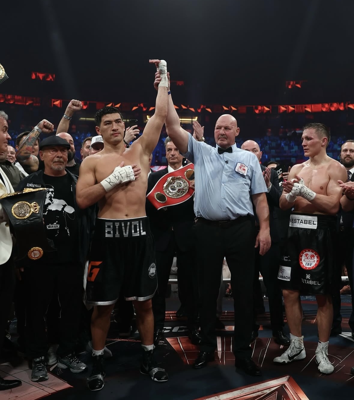 Bivol.jpg